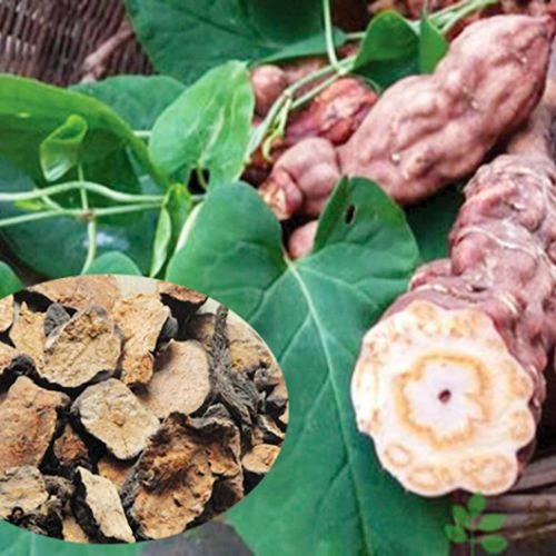 Hà Thủ Ô ảnh 1