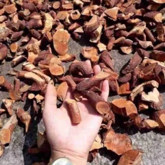 Ảnh sản phẩm Cây Mú Từn - Tăng Cường Sinh Lý Nam 1